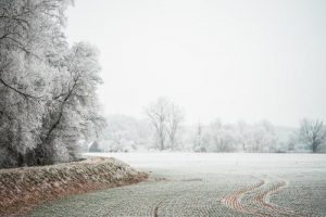 Prepare your loading docks for winter conditions. Winter weather can reduce visibility for your delivery truck drivers.